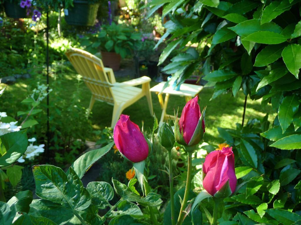 Lavigne Gourmet Bed & Breakfast *